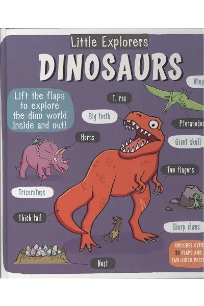 Little Explorers: Dinosaurs