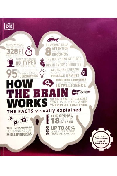 DK: How the Brain Works