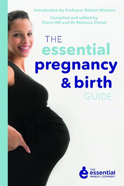 The Essential Pregnancy And Birth Guide