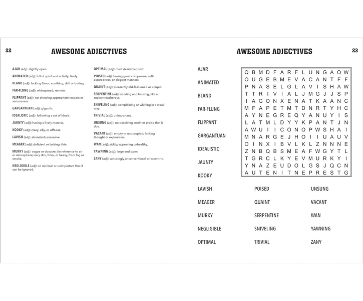 Definitive Word Search Volume 1: 2500 Words to Find--Defined image 4