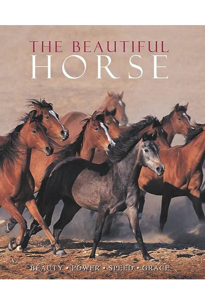 The Beautiful Horse