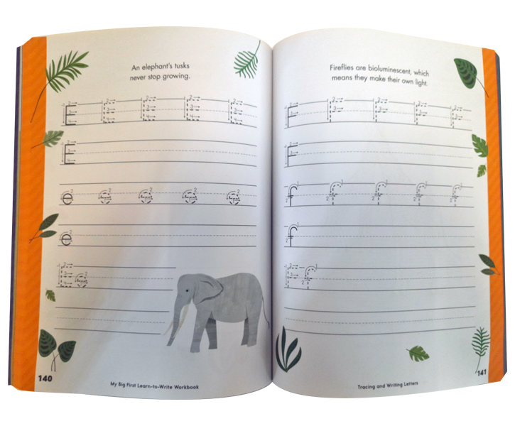 My Big First : Learn-To-Read Workbook - Practice Pen Control, Line Tracing, Letters and More! image 4