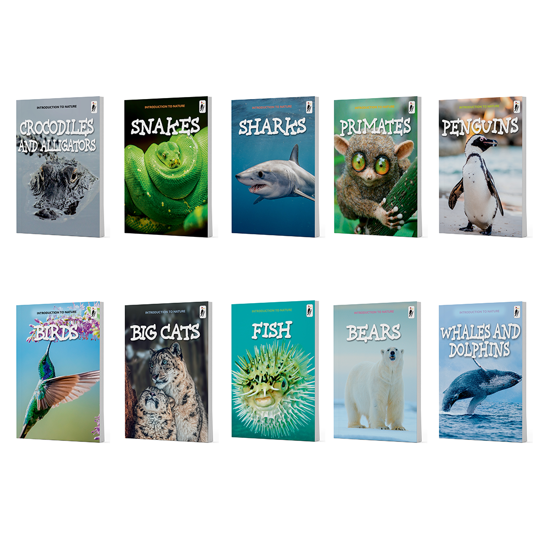 Woodpecker: Introduction To Nature (10 Volume Set) image 3