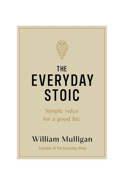 The Everyday Stoic: Simple Rules for a Good Life image 2
