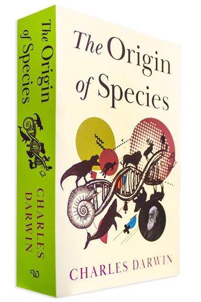 The Origin of Species image 2