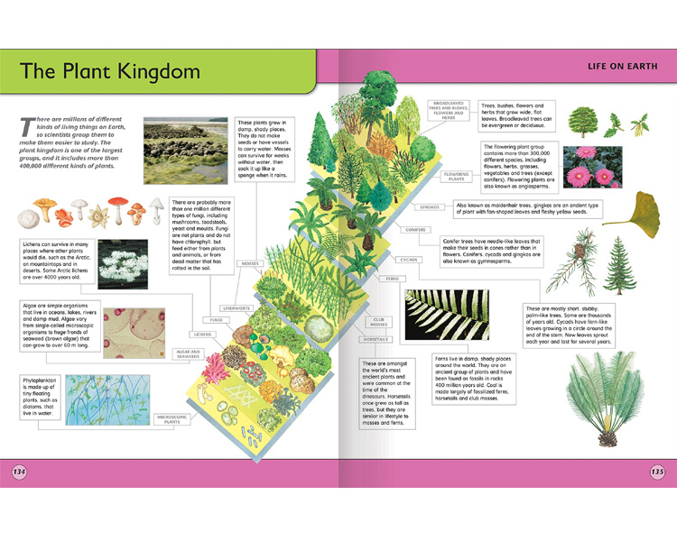 Encyclopedia of Knowledge image 4