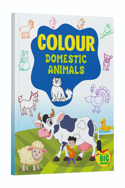 Colour - Domestic Animals image 3