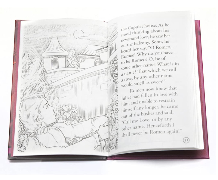 Childrens Shakespeare Stories (Set Of Box 20) image 4