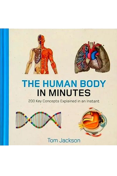 Human Body In Minutes