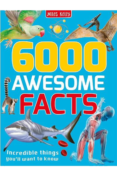 MK: 6000 Awesome Facts