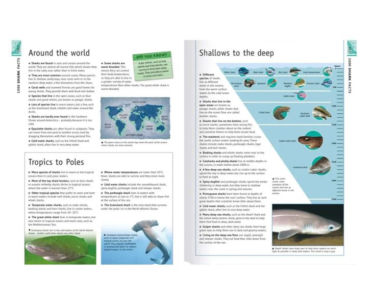MK: 6000 Awesome Facts image 2