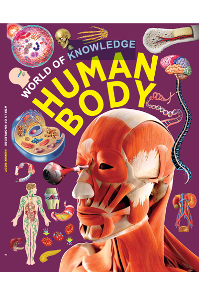 World Of Knowledge - Human Body