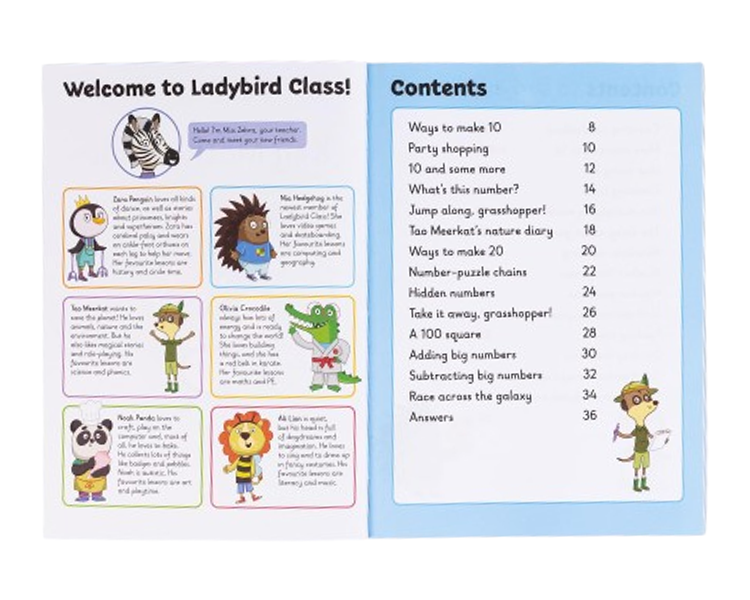Learn With Ladybird – Key Maths Skills (5-7 years) image 4