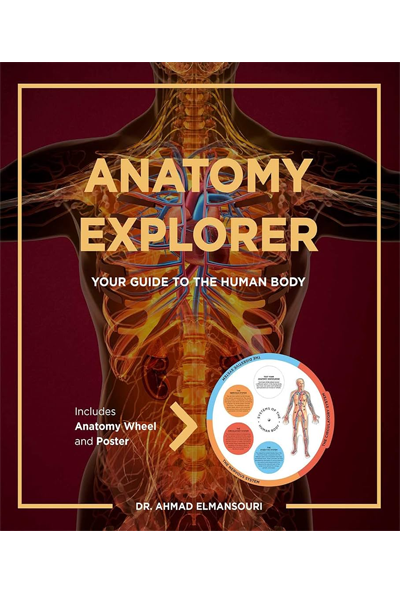 Anatomy Explorer