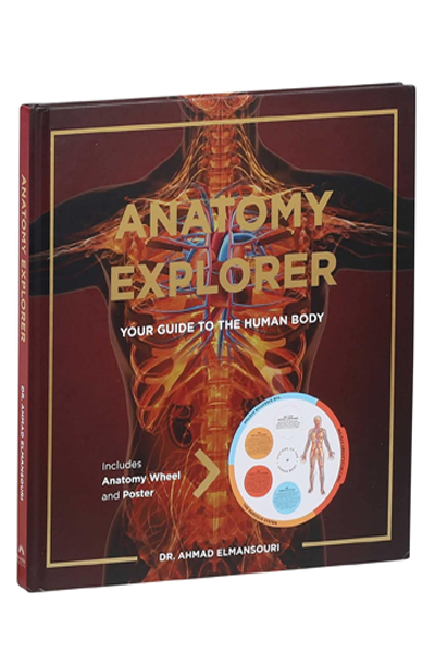 Anatomy Explorer image 2