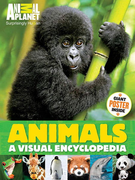 Animals (An Animal Planet Book): A Visual Encyclopedia