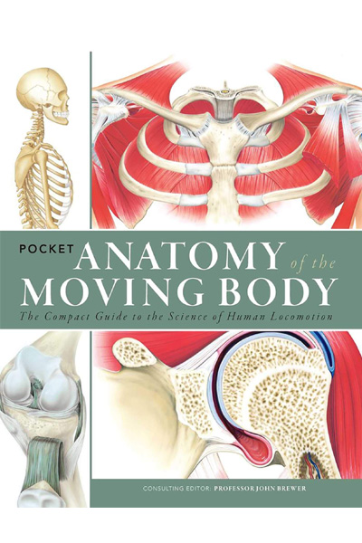 Pocket Anatomy of the Moving Body : The Compact Guide to the Science of Human Locomotion
