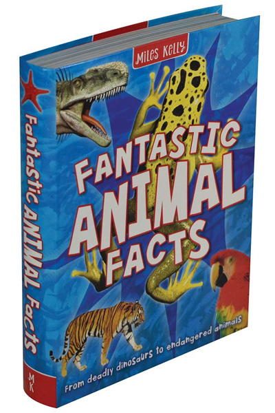 Fantastic Animal Facts Books - Bargain Book Hut Online