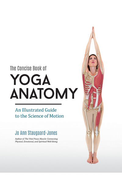 The Concise Book of Yoga Anatomy: An Illustrated Guide to the Science of Motion