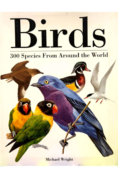 Birds : 300 Species from Around the World