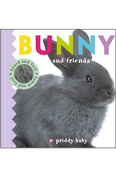 Bunny & Friends :Touch & Feel (Board Book)