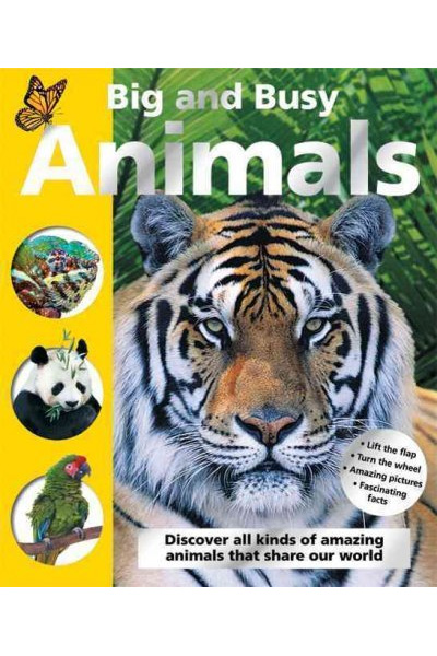 Big and Busy Animals