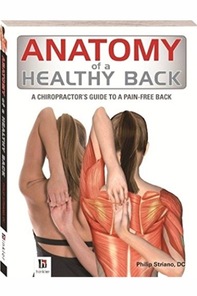 Anatomy of a Healthy Back