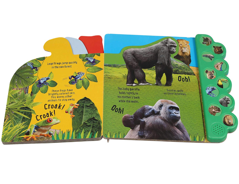 Growl with the Animals!: 10 Animal Sounds (Discovery Kids) Board Book with Sound Books - Bargain Book Hut Online Growl with the Animals!: 10 Animal Sounds (Discovery Kids) Board Book with Sound Books - Bargain Book Hut Online