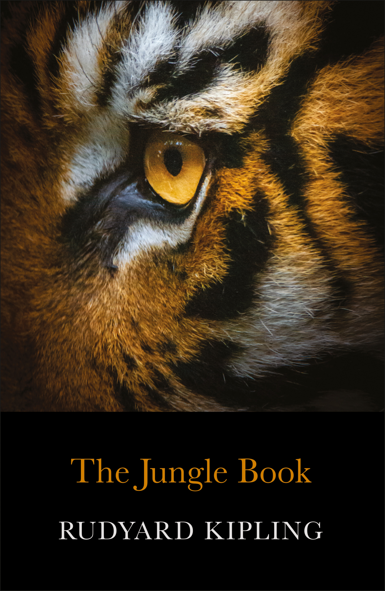 CE : The Jungle Book