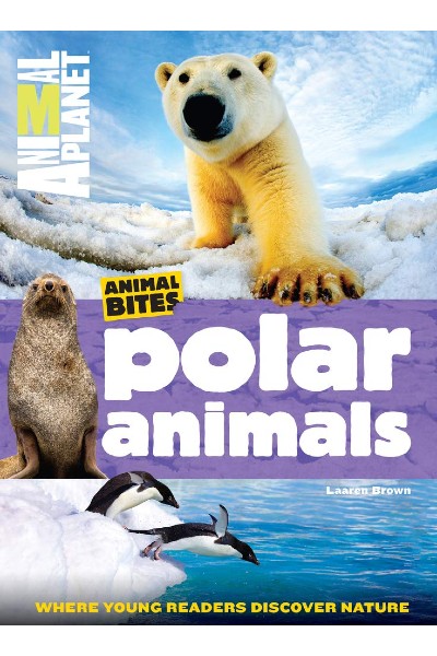 Animal Planet: Animal Bites: Polar Animals
