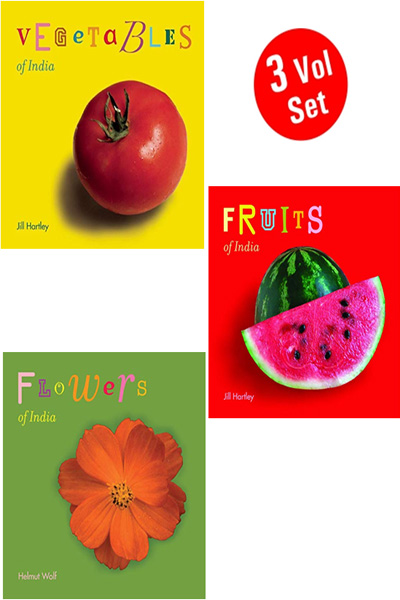 India Learning Board Book Pack 1 (3 vol set)