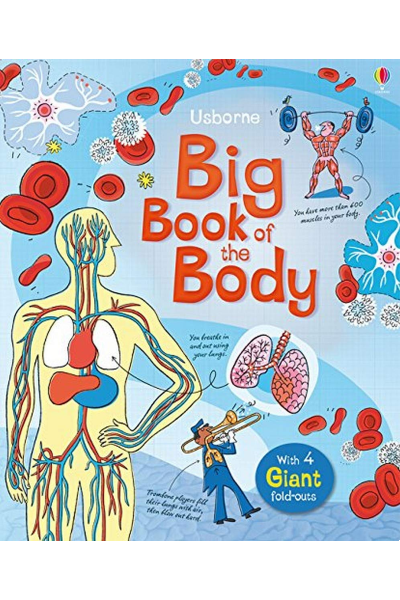 Usborne: Big Book Of The Body