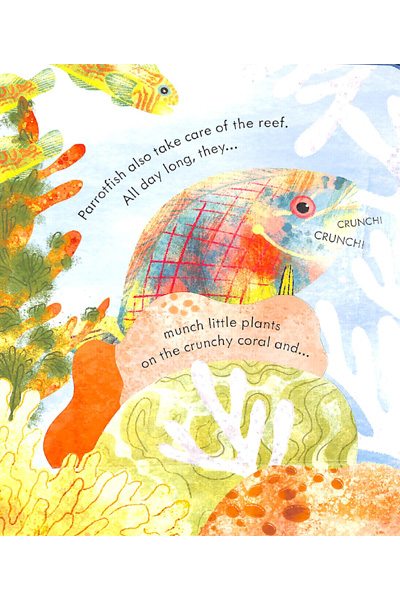 zzzUsborne: Peep Inside- A Coral Reef (Board Book) image 3