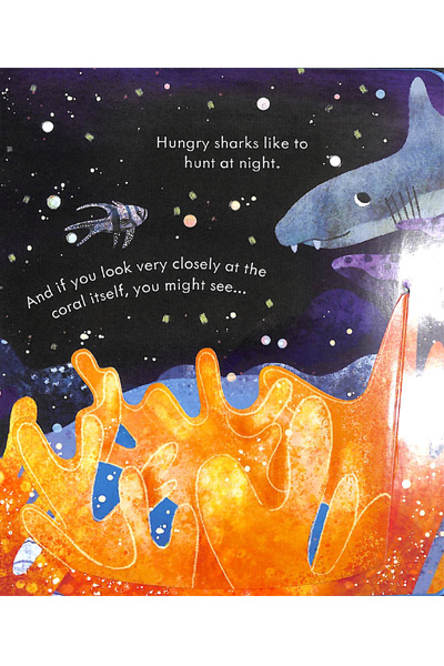 zzzUsborne: Peep Inside- A Coral Reef (Board Book) image 4