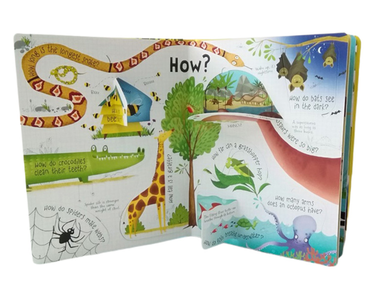 Usborne Lift-the-flap - Questions and Answers about Animals Books - Bargain  Book Hut Online