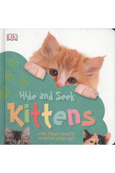 Hide and Seek Kittens