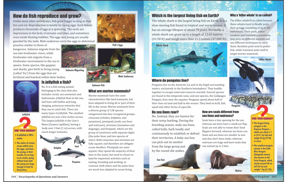Encyclopedia of Questions & Answers image 5