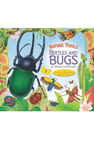 Beetles and Bugs