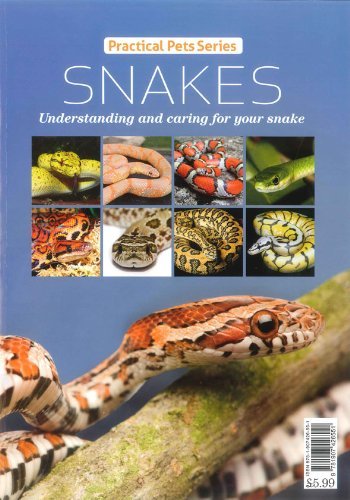 Snakes:Practical Pets Series:Understanding and caring for your snake