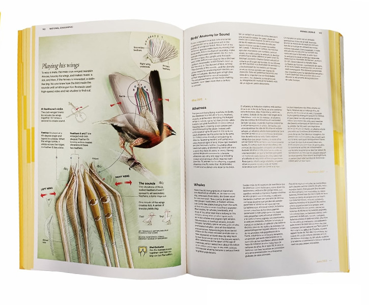 National Geographic Infographics image 3