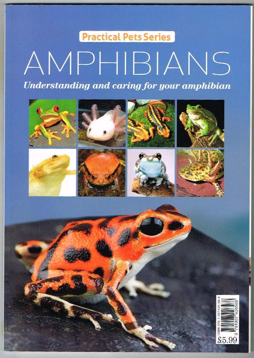 Amphibians:Practical Pets Series:Understanding and caring for your amphibian