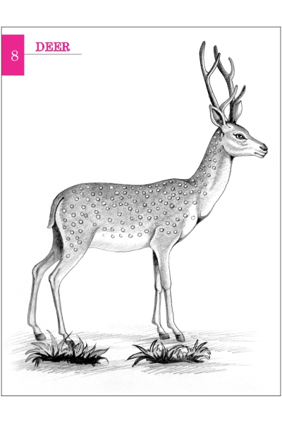 Simple Guide to Pencil Shading image 3