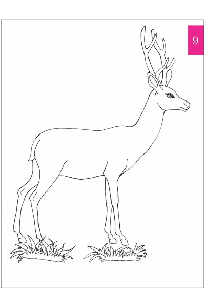 Simple Guide to Pencil Shading image 4