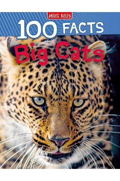 MK: 100 Facts Big Cats