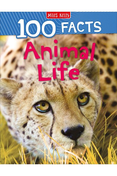 MK: 100 Facts Animal Life
