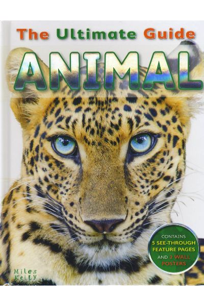 MK: Animal (Ultimate Guide)