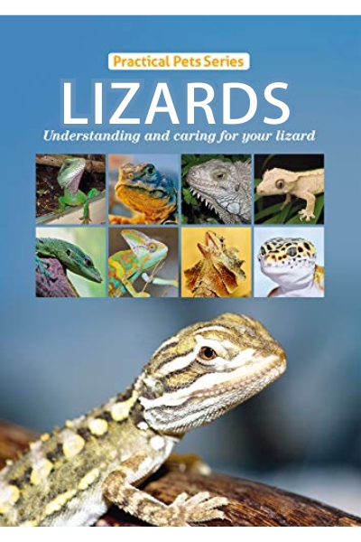 Lizards: Practical Pets Series:Understanding and caring for your lizard