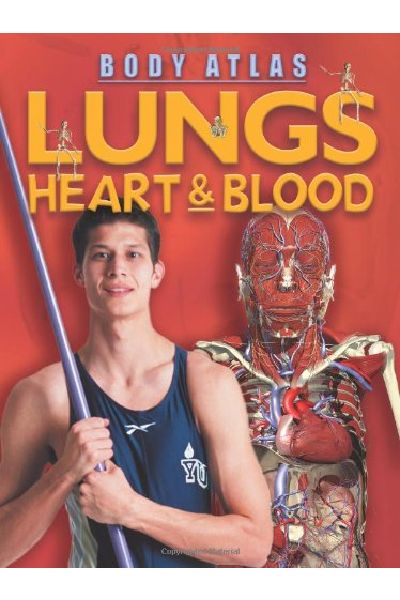 Body Atlas: Lungs, Heart and Blood