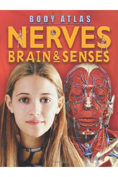 Body Atlas: Nerves, Brain and Senses