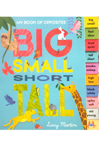 My Book of Opposites: Big Small Short Tall - Board Book